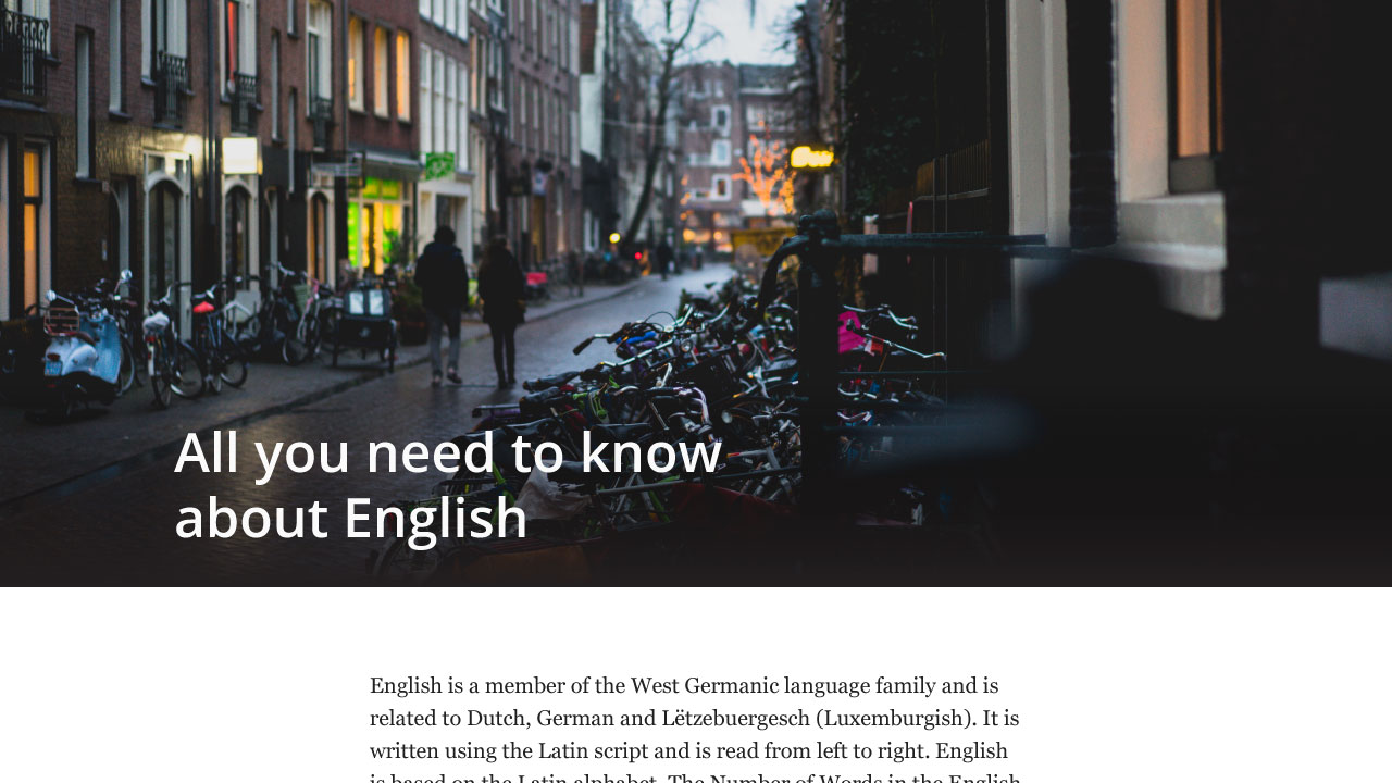 Макет: All you need to know about English